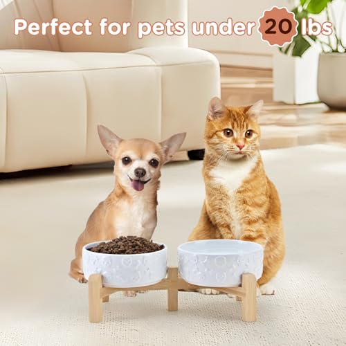 SPUNKYJUNKY Elevated Dog Bowls Ceramic, 5.1'' Dogs and Cat Food Water Bowls Raised with Non-Slip Bamboo Stand for Puppy Small Sized Breed Microwave Dishwasher Safe - 13.5 OZ,Skull White - color: White - Skull, size: 5.1 in - 1.7 cups