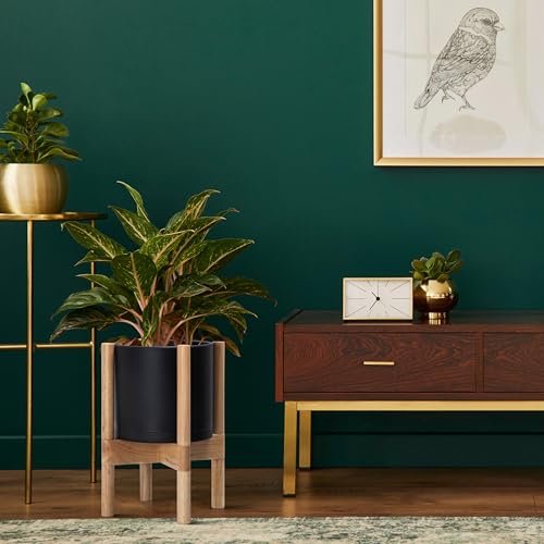 D'vine Dev Plastic Pot with Natural Wood Stand, Black, 8 in, 55-C-J-2 | Mid-Century Inspired Design, Elevated Plant Display, Clean Lines, Sturdy Support, Modern Space-Saving Style - color: Matte Black Pot + Natural Stand, size: 8 Inch
