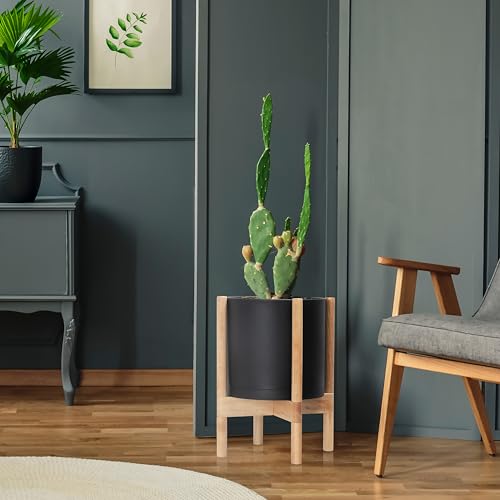 D'vine Dev Plastic Pot with Natural Wood Stand, Black, 12 in, 55-C-P-2 | Mid-Century Inspired Design, Elevated Plant Display, Clean Lines, Sturdy Support, Modern Space-Saving Style - color: Matte Black Pot + Natural Stand, size: 12 Inch