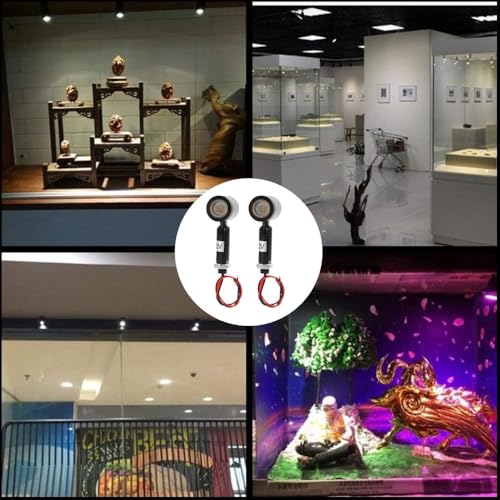 1W DC 12V Indoor Focus Lights, Warm White 3000K for Picture, Artwork, Painting, Plants, Jewelry Showcase, Model Display, Shelf and Cabinet