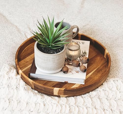 Kurrajong Farmhouse Artificial Plant | 8" Fake Plant for Desk Decor | Artificial Succulent in Pot | Fake Succulent | Faux Plant Indoor | Artificial Greenery for Shelf Decor
