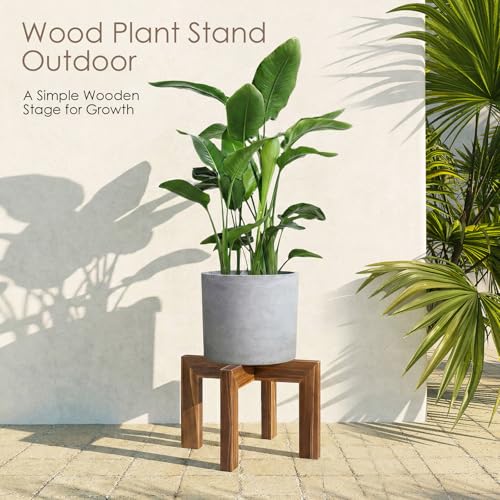 Leaf&lull Wood Plant Stand Indoor Boho Rustic Short Plant Stool Small Planter Holder Base for Multiple Plants Heavy Duty Wooden Floor Pot Riser Walnut 2 Pack - size: 2 Pcs