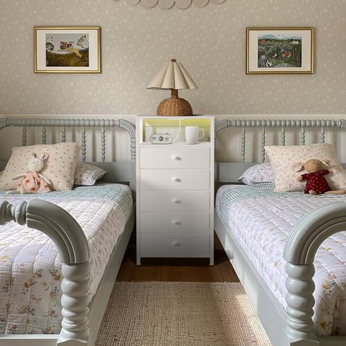 BOLUO White Dresser with 5 Drawers Tall Nightstand with Charging Station and LED Light, Bedside Table Room Storage Drawers Closet - color: A.white, size: 11.8"D x 15.7"W x 39.8"H (5 drawers)