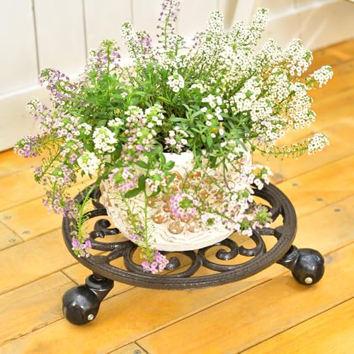 Sungmor Heavy Duty Cast Iron Plant Caddy,11" Round Potted Plant Stand Flower Pot Rack on 3 Solid Wheels,Indoor Outdoor Planter Holder Trolley Casters Rolling Tray | Plant Stand Flower Pot Rack, Indoor Outdoor Planter Holder Trolley Casters Rolling Tray -