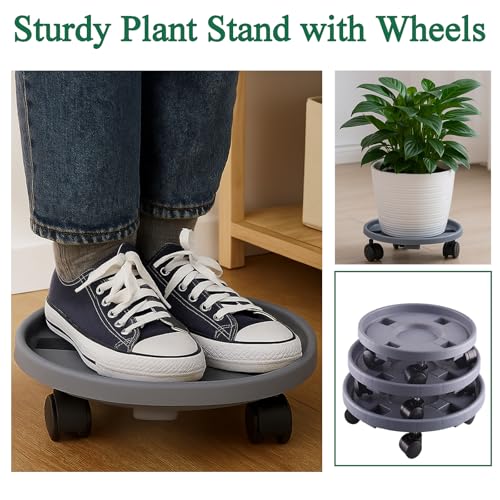 Rolling Plant Stand with Wheels 3 Pack 10 Inch Plant Caddy with Wheels Heavy Duty Plant Dolly Roller Base with Wheels Round Flower Pot Rack Holder Planter Trolley Tray, Grey - color: Grey, size: 10 inch