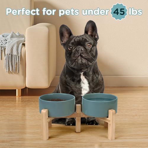 SPUNKYJUNKY Elevated Dog Bowls Ceramic, 6.1'' Dogs and Cat Food Water Bowls Raised with Non-Slip Bamboo Stand for Medium Sized Breed Microwave Dishwasher Safe - 28.7 OZ,Dark Green - color: Dark Green, size: 6.1 in - 3.6 cups