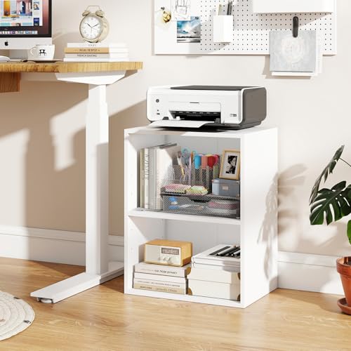 Giantex 2-Cube Bookshelf and Bookcase, 2-Layer Storage Shelf w/Large-Capacity Open Storage Space for Living Room Bedroom Study Office, Multi-Functional Furniture Display Cabinet, White | Display Shelf with Open Storage Space for Living Room, Home Office,
