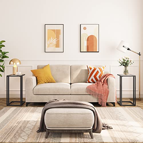 HOOBRO C Shaped End Table, Set of 2, Glass Side Table with Metal Frame, Black Coffee Table for Small Space, Modern Style, for Living Room, Black BK03SFP201 - color: Black