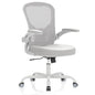 Office Chair, Ergonomic Desk Chairs 330LBS Capacity High Back Mesh Computer Chair with Flip-up Armrests, Comfy Work Chair with Adjustable Lumbar Support - color: Gray-gray