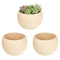 3PCS Wood Air Plant Holder, Rustic Style Airplant Display Stands, Air Plant Pots for Women Gifts Home Office Tabletop Decor