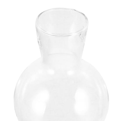 Toddmomy Clear Glass Planters 2Pcs Hydroponic Glass Vase for Indoor Plants Terrarium Plants Flower Holder Suspended Vase Decor for Home Office Table Centerpieces