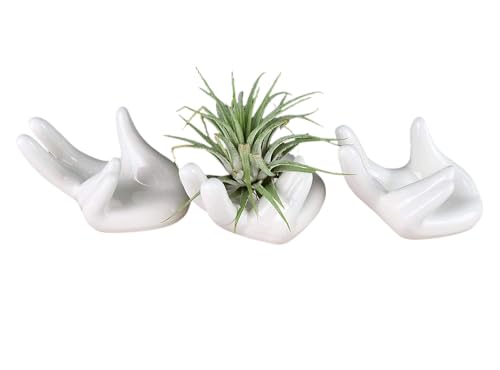 Air Plant Holders 3 Pack Cute Ceramic Airplants Stand Mini Hand Rack Tillandsia Succulent Display Container Pot Home Decor for Desk Table Shelf Window, White - color: 3pc