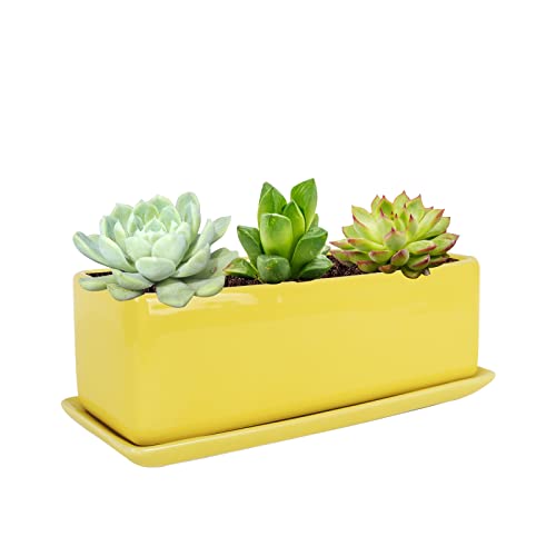 Vencer 12 Inch Rectangular Modern Minimalist Ceramic Succulent Planter Pot - Window Box with Saucer,Office Desktop Potted Stand,Yellow,VF-0135Y - color: Yellow, size: 12 Inch