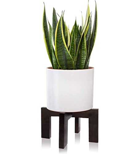 Gendral Forwepup Plant Stand Indoor Outdoor, Mid Century Plant Stand for Indoor Plants, Wood Modern Plant Holder Rattan Flower Plant stool, Low Short Boho Rustic Planter Stand, Fit 5-15 Inch Pot… - color: 1 Black