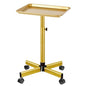 Salon Tray on Wheels, Gold Salon Rolling Tray with Adjustable Height | Tattoo Rolling Tray,Hair Stylist Tray, Suitable for Tattoo Tray and Dental Tray - color: Golden