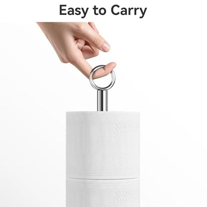 Toilet Paper Holder Stand(with Reserve Function), Free-Standing Spare Rolls Storage Holder, Stainless Steel, Chrome - color: Chrome