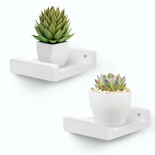 PHOENANCEE Small Wall Shelves,Mini Floating Shelf with Lip,Display Ledge,Speaker Shelf Set of 2 for Picture Frames Plants Decorative for Living Room Kitchen Bedroom,Wood,5 Inch,White - color: White, size: 5 Inch(2pcs)