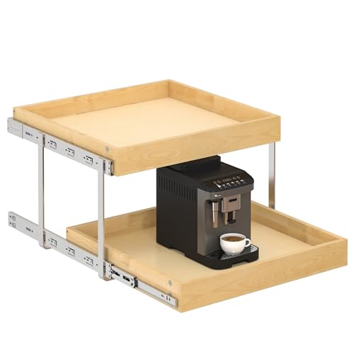 WelFurGeer 2-Tier Pull Out Cabinet Organizer with Soft Close Slides, Heavy-Duty Pull Out Drawers for Cabinets, Slide Out Shelf for Kitchen, Bathroom, Pantry & Under Sink, Solid Birch Wood - color: 2 Tiers, size: 23''W x22''D