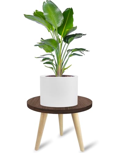 10IN Tall Plant Stand Holder for Indoor Planters, Mid Century Small Round Wood Table for Living Room Corner Floor - size: 10IN