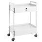 VEVOR Rolling Medical Cart with Lockable Drawer, White Paint Stainless Steel Utility Cart, 2 Tiers Mobile Esthetician Trolley Cart with Swivel Casters for Lab, Hospital, Dental, Salon and Beauty - size: 2-tier with 2 drawer