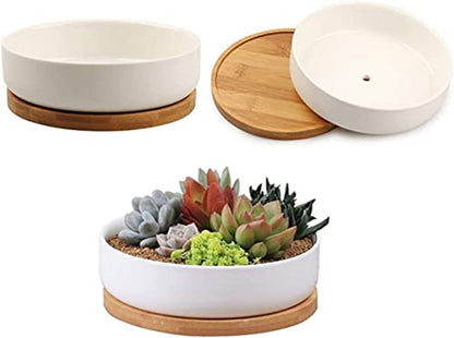 2 Pack 10" Bamboo Plant Saucer, Round Plant Pot Tray for Indoor Plants, Modern Brown Solid Style, Waterproof & Anti-Overflow - size: 10"