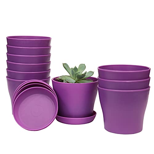 TDHDIKE 10 Pcs Plastic Planters Indoor Flower Plant Pots, Mini Flower Seedlings Nursery Pot/Planter/Flower Pot with Pallet, Modern Decorative Gardening Containers (Purple) - color: Purple