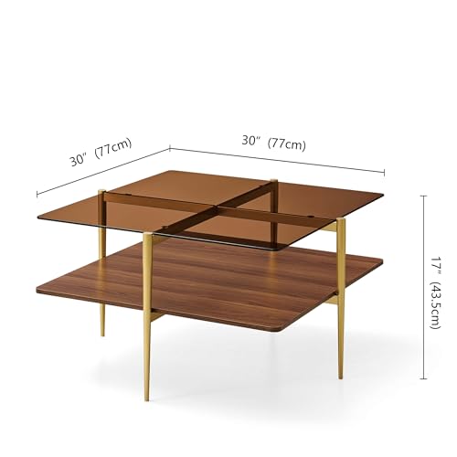 LumFurn Square Coffee Table, Mid-Century Modern Design, L30 x W30 x H17 Inch, for Living Room, 2-Tier Structure, Amber Glass Top and Walnut Wood Shelf, Sleek Conical Metal Legs with Gold Finish - color: Amber & Walnut, size: L30" Square Coffee Table