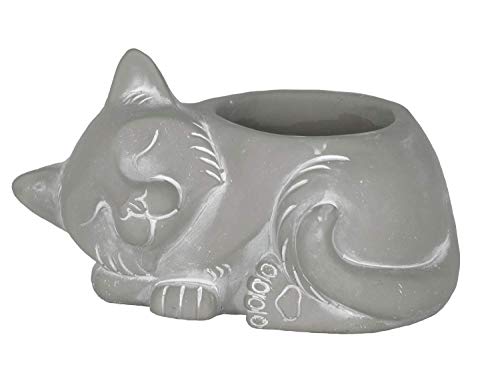 GROWSCAPE Cement Buddies Animal Planter - Cute Desk Decoration - UV Coated Animal Vase w/Removable Drain Plug - Succulent Planter for Indoor/Outdoor Use (Cat Planter, Natural, Large) - color: Natural, size: Large, style: Cat