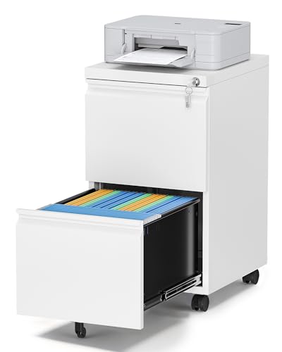 2 Drawer File Cabinet with Lock, Small Rolling Filing Cabinet for Home Office, Printer Stand, 2 Drawer Under Desk Filing Cabinet with Wheels for Legal/Letter/A4 (Fully Assembled,White) - color: White, size: 14.6"W x 26.2"H x 17.3"D