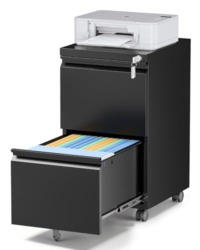 2 Drawer Locking Under Desk Metal Storage Cabinet on Wheels for Legal/Letter/A4 Files (Fully Assembled, Black) - color: Black, size: 14.6"W x 26.2"H x 17.3"D