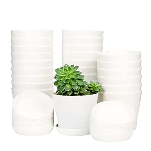 TDHDIKE 10 Pcs Plastic Planters Indoor Flower Plant Pots, Mini Flower Seedlings Nursery Pot/Planter/Flower Pot with Pallet, Modern Decorative Gardening Containers (White25) - color: White25