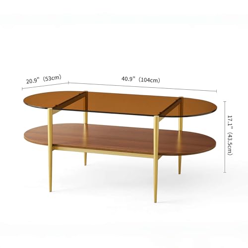 LumFurn Oval Glass Coffee Table, Mid-Century Modern Design, L41 x W21 x H17 inch, for Living Room, 2-Tier Structure, Amber Glass Top and Walnut Finish Wood Shelf, Conical Legs with Gold Finish Frame - color: Amber & Walnut, size: L41" Oval Coffee Table