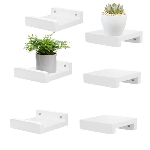 PHOENANCEE Small Floating Shelf,Mini Wall Shelves with Lip,Display Ledge,Speaker Shelf Set of 6 for Picture Frames Plants Decorative for Living Room Kitchen Bedroom,Wood,5 Inch,White - color: White, size: 5 Inch(6pcs)