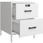 Steehoom Nightstand,2 Drawer Metal Locker End Table Lockable Bedside Table Storage Cabinet for Bedroom, Dorm, 21.26”H X 15.75”W X 15.75”D (2 Drawer, White) - color: White, style: 2 Drawer
