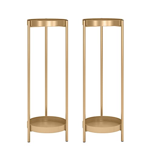 2 Tier Metal Flower Plants Holder with 2 Removable Display for Indoor or Outdoor,Pot Plant Planter Display (Gold 2P) - color: Gold 2P