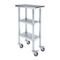 AmGood Stainless Steel Work Table with 2 Shelves and Casters | Metal Utility Table On Wheels (Stainless Steel Work Table with 2 Shelves + Casters, 12" Long x 24" Deep) - size: 12" Long x 24" Deep