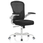 Office Chair, Ergonomic Desk Chairs 330LBS Capacity High Back Mesh Computer Chair with Flip-up Armrests, Comfy Work Chair with Adjustable Lumbar Support - color: Grey Black