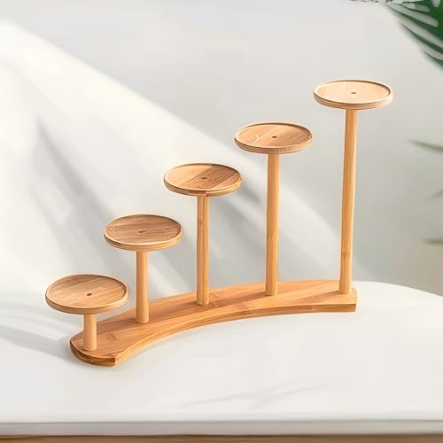 5 Tiers Desk Plant Stand Window Sill Plant Shelf Tabletop Succulent Stand Flower Pot Stand Holder Desktop Plant Stand Indoor Plant Rack for Succulent Herb in Living Room Office (Circle) - size: Circle