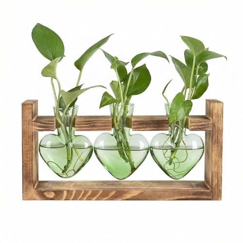 Plant Propagation Station 3Pcs Heart Vase with Wooden Stand Tabletop for Hydroponics Indoor Home Table Decor for Her Plant Lovers Women Mom Wife Daughter (Green) - color: Green