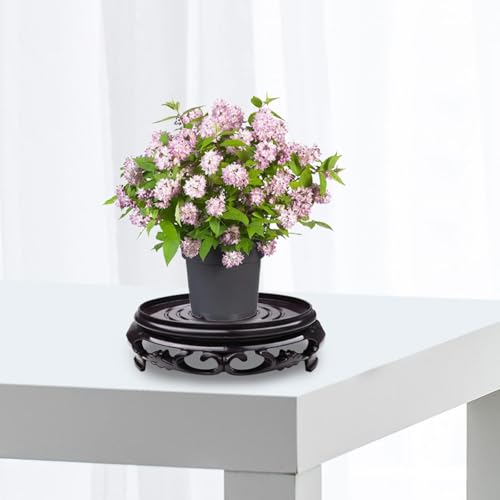 2Pcs Plant Stand, 6.1in Round Riser Flower Pot Display Stand Bonsai Rack Holder Planter Tray Table Lamp Base for Indoor Outdoor Desktop Counter - size: 6.1in