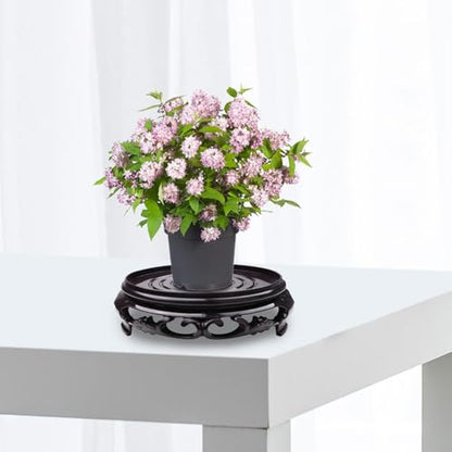 2Pcs Plant Stand, 6.1in Round Riser Flower Pot Display Stand Bonsai Rack Holder Planter Tray Table Lamp Base for Indoor Outdoor Desktop Counter - size: 6.1in