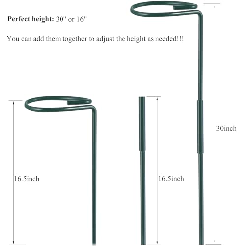 Plant Stake Support - 6 Pack Adjustable Height 16" or 30", Garden Support Stake Plant Cage Support Rings, Single Stem Plant Support Stakes, for Flowers Amaryllis Tomatoes Peony Lily Rose (30inch) - size: 30inch