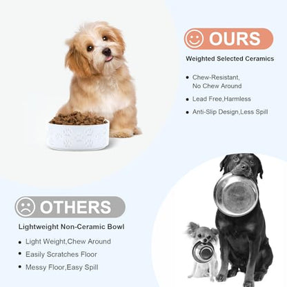 SPUNKYJUNKY Ceramic Dog and Cat Bowls 2 Pack, 5.1'' Dog and Cat Food Water Double Feeding Bowls Non-Slip for Cats and Puppy Small Sized Breed Dogs Microwave Dishwasher Safe - 13.5 OZ, 2pcs, Paw White - color: Paw White - Only Bowls*2, size: 5.1 in - 1.7 c