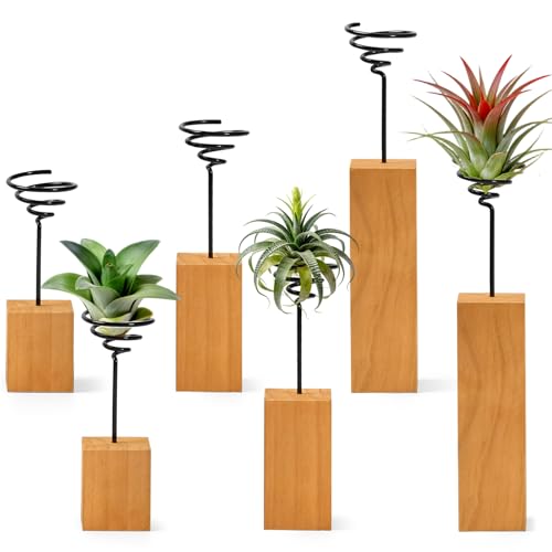 3 Pcs Wooden Air Plant Holder, 3 Sizes Air Plant Container Live Holder Wood Base with Metal Spiral for Display Small AirPlant, Tillandsia Stands for Home Desktop Office, Housewarming Gift