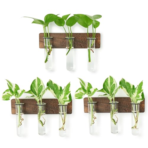 XXXFLOWER Wall Mounted Plant Terrarium with Wooden Stand 3 PCS | Hanging Planter Propagation Station with 3 Glass Tubes Indoor Hanging Planters for Home Office Indoor Decor - size: 9 Glass Tubes with Ring