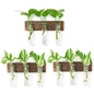 XXXFLOWER Wall Mounted Plant Terrarium with Wooden Stand 3 PCS | Hanging Planter Propagation Station with 3 Glass Tubes Indoor Hanging Planters for Home Office Indoor Decor - size: 9 Glass Tubes with Ring