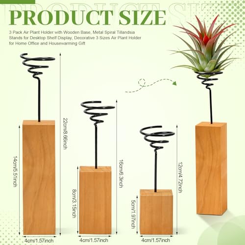 3 Pcs Wooden Air Plant Holder, 3 Sizes Air Plant Container Live Holder Wood Base with Metal Spiral for Display Small AirPlant, Tillandsia Stands for Home Desktop Office, Housewarming Gift