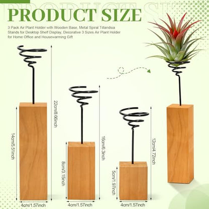 3 Pcs Wooden Air Plant Holder, 3 Sizes Air Plant Container Live Holder Wood Base with Metal Spiral for Display Small AirPlant, Tillandsia Stands for Home Desktop Office, Housewarming Gift