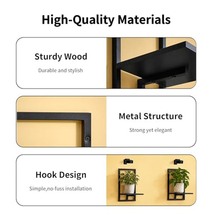 Wall Planters with Grow Lights, Set of 2 Indoor Hanging Shelves for Bedroom, Living Room, Bathroom, Kitchen, Entryway, Black (2, Black) - color: Black