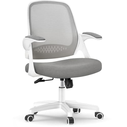 NEO CHAIR Office Desk Gaming Ergonomic Computer Chair with Lumbar Back Support Adjustable Height Swivel Rolling Wheels Flip-up Arms Mesh Chair for Home Vanity (Grey) - color: Grey